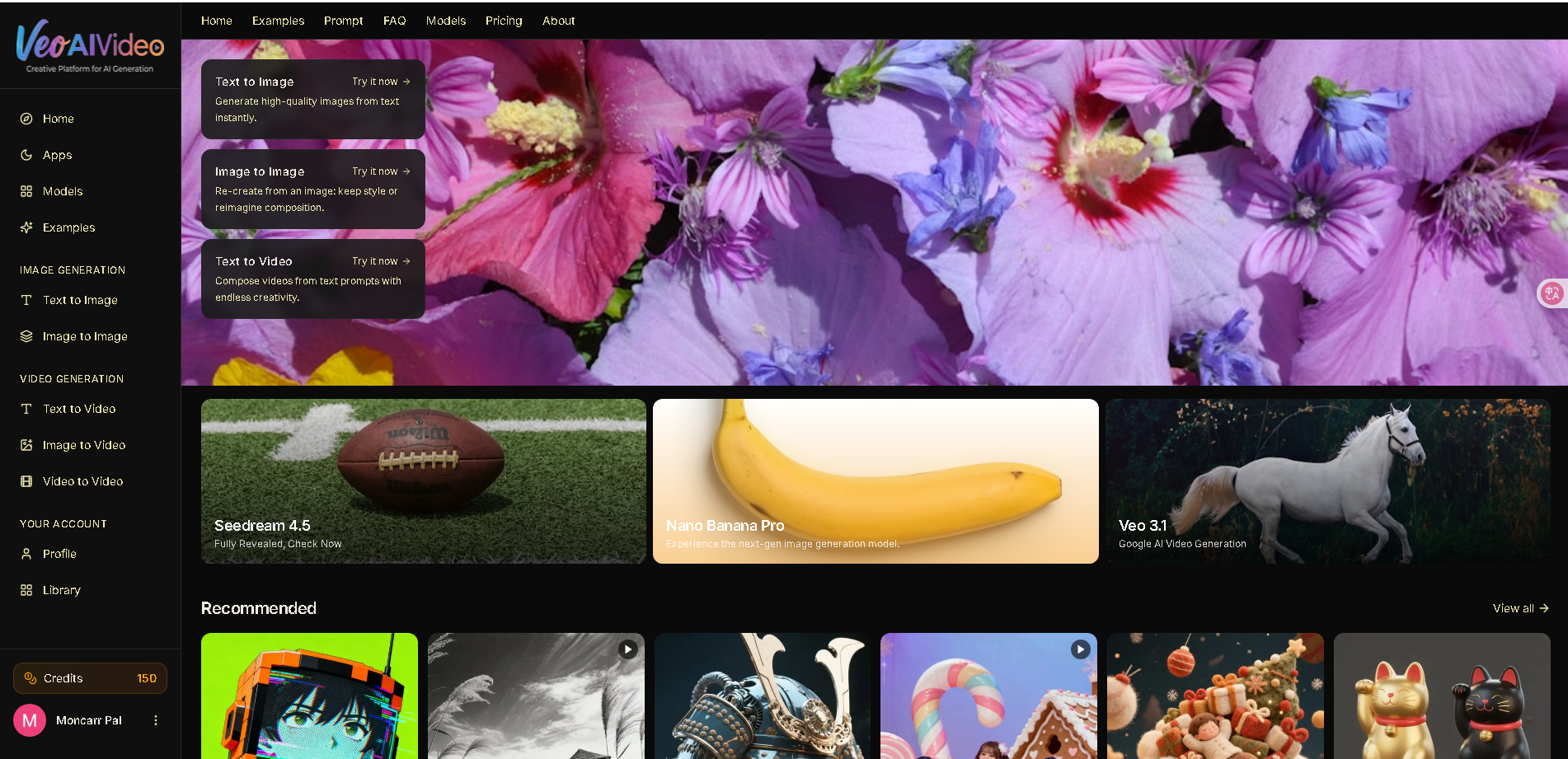 AI Video Generator &amp; AI Image Generator | VeoAIVideo Tool image 1